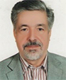 Dr. Morsal Seddigh